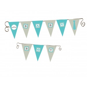 Baby boy Banner